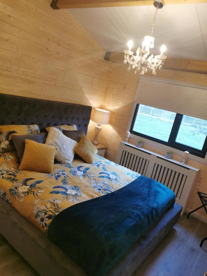 The Lodge Mountain View Log Cabin , Attymass Ballina Boyhollagh المظهر الخارجي الصورة